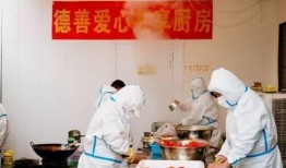 抗癌厨房爆料视频播放下载,见证人间真情与抗争力量